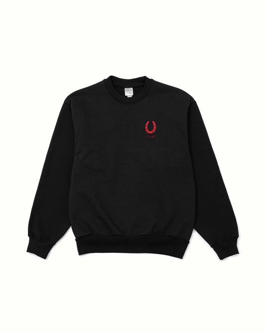 A navy blue sweater with a red horseshoe at the left chest